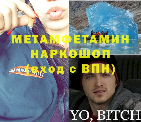 индика Бородино